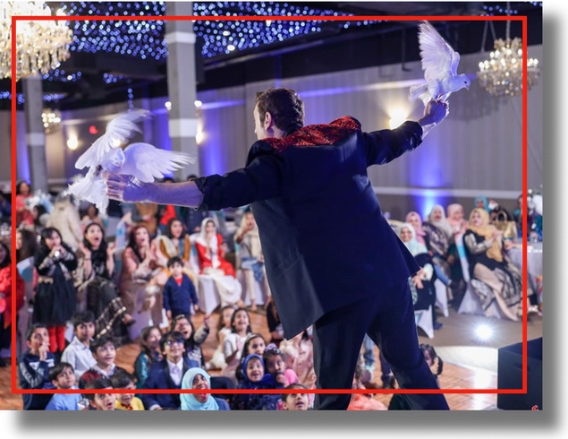 Family Event Clean Comedy Trade Show Magician Corporate Comedy Magician For Company Parties and Trade Shows in the USA Family Event Clean Comedy Trade Show Magician Corporate Comedy Magician For Company Parties and Trade Shows in the USA